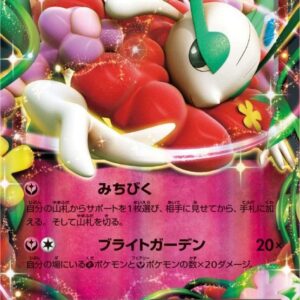 Frages EX[RR]060/088 [ XY ]