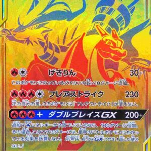 Reshiram & Charizard GX[UR]220/173 [sm12a]
