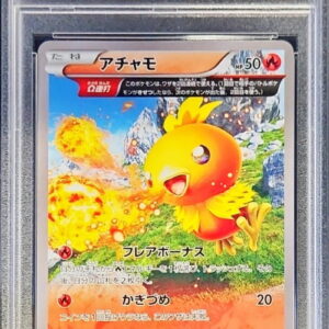 [PSA 10 Graded] Achamo [P]103/XY-P [Others]