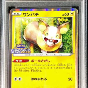 [PSA 10 Graded] Wanpachi [P]244/S-P [Others]