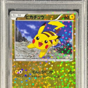 [PSA 10 Graded] Pikachu[-]016/047 [Other]
