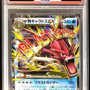[PSA 10 Graded]M Gyarados EX[RR]019/080 [Others]