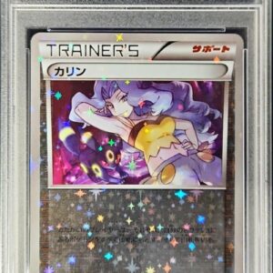 [PSA 10 Graded] Karin (Mirror/High Class Pack Specification) [-]142/171 [Others]