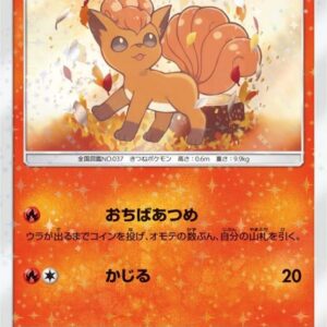 [NM-] Rocon (unopened) [P]146/SM-P [ [NM-] Others ]