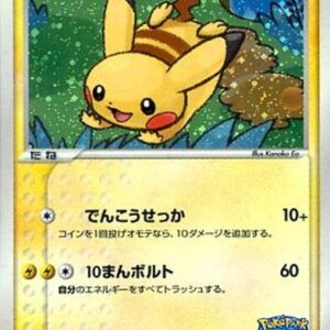 Pikachu at Pokepark [P]004/009 [Other]