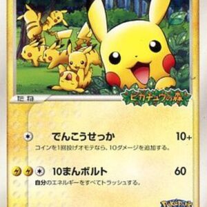 Pikachu at Poke Park [P]043/PCG-P [Others]