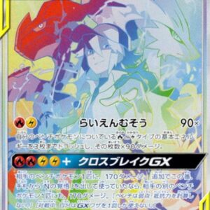 Reshiram & Zekrom GX (SA) [HR]071/049 [ sm11b ]