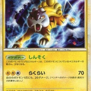 [Status S]Raikou[P]064/L-P [[Status S]Others]