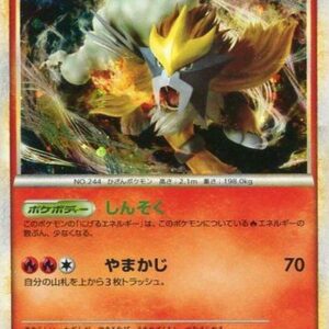 [NM-]Entei[P]062/L-P [[NM-]Others]