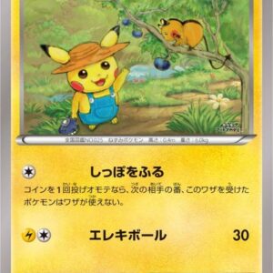 Pikachu(gogotake)[P]XY-P [ XY ]