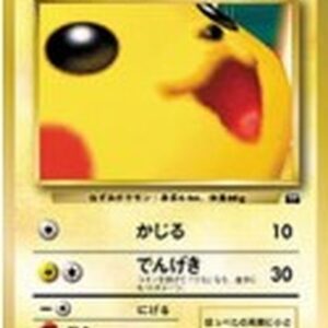 Pikachu (Best Photo Contest) [-] Old back [ Old back ]