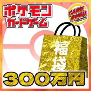 ★Pokeka 3 million yen lucky bag★[Lucky bag] ¥3,000,000 [ ★Pokeka 3 million yen lucky bag★]