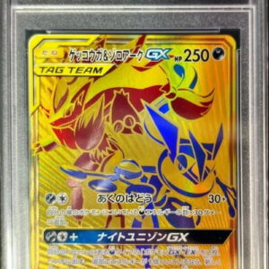[PSA 10 Graded] Gekkouga & Zoroark GX [UR]223/173 [Others]