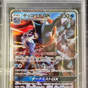 [PSA 10 Graded] Gekkouga GX[RR]013/024 [Others]