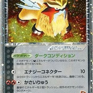 [NM-]R group's Entei ex[★]068/084 [[NM-]Others]
