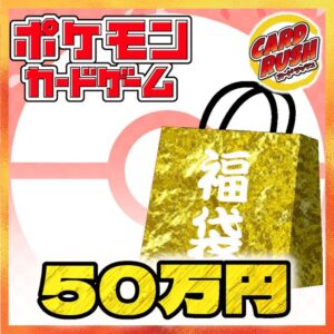 ★Pokeka 500,000 yen lucky bag★[Lucky bag] ¥500,000 [ ★Pokeka 500,000 yen lucky bag★]