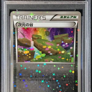 [PSA 10 Graded] Dimension Valley (Mirror/High Class Pack Specification) [-]156/171 [Others]