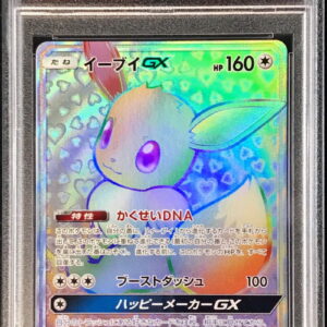 [PSA 9 Appraised] Eevee GX [HR]219/173 [Others]