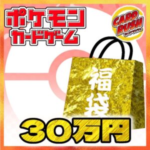★Pokeka 300,000 yen lucky bag★[Lucky bag] ¥300,000 [ ★Pokeka 300,000 yen lucky bag★ ]