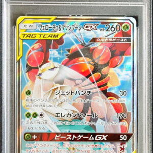 [PSA 10 Graded] Feroce & Massibun GX (SA) [SR] 056/054 [Others]