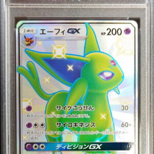 [PSA 10 Graded] Efi GX [SSR]220/150 [Others]