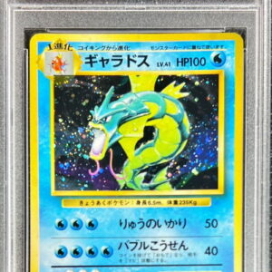 [PSA 10 Graded] Gyarados LV.41 (with mark) [★] Old back [Others]