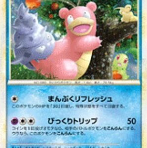 [NM-]Yadoran (unopened)[P]029/L-P [[NM-]Others]