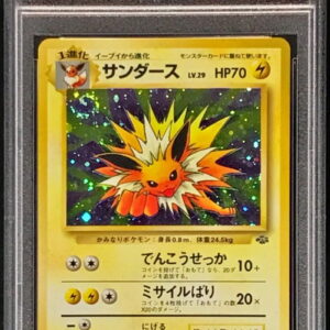 [PSA 9 appraised] Sanders LV.29 [★] Old back [Others]