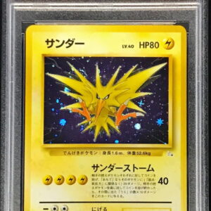 [PSA 10 Graded] Thunder LV.40 [★] Old back [Others]