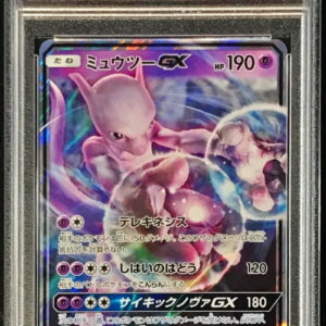[PSA 10 Graded] Mewtwo GX[RR]017/024 [Others]