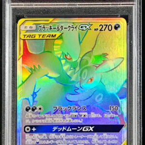 [PSA 9 Appraised] Blackie & Darkrai GX [HR]215/173 [Others]
