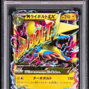 [PSA 10 Graded]M Leibold EX[RR]024/088 [Others]