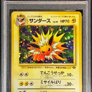 [PSA 10 Graded] Sanders LV.29 [★] Old back [Others]