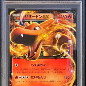 [PSA 10 Graded] Charizard EX[RR]011/080 [Others]