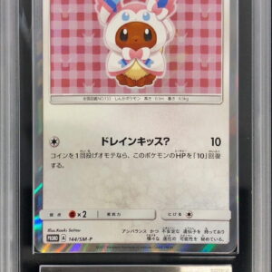 [ARS10 verified] Eevee wearing a poncho (NF) [P]144/SM-P [Others]