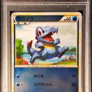 [PSA 10 Graded] Waninoko (Mirror) [-]022/070 [Others]