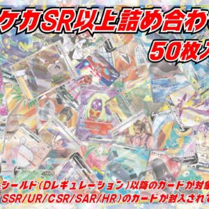SR or above 50 pieces set [Assortment] ﾂ･13,800 [Assortment]