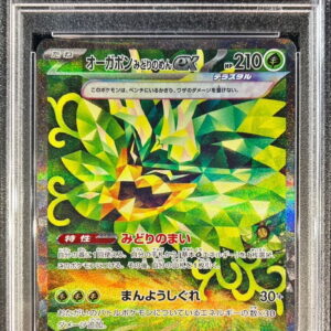 [PSA 10 Graded] Ogapon Midorinomen ex [SAR]125/101 [Others]