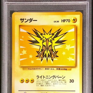 [PSA 10 Graded] Thunder LV.30 [-] Old back [Others]