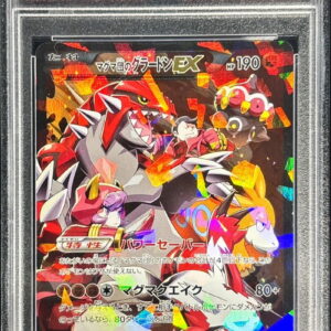 [PSA 8 Appraised] Team Magma's Groudon EX [RR] 015/034 [Others]