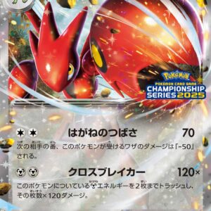 [NM-]Hassam ex[P]210/SV-P [[NM-]SV-P]