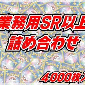 ≪Commercial use≫ SR and above 4000 pieces set [Assortment] - [Assortment]