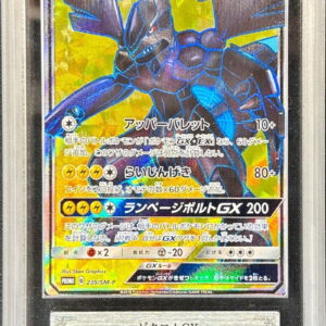 [ARS10+ Appraised] Zekrom GX (SR specification) [P]239/SM-P [Others]