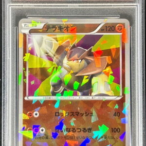 [PSA 9 appraised] Terrakion [P]038/BW-P [Others]