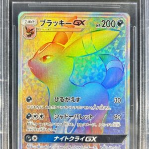 [Difficult Condition/BGS9.5 Appraised] Blackie GX[HR]069/060 [Difficult Condition/Appraised Card]