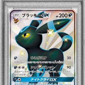 [PSA 8 Appraised] Blackie GX [SSR] 229/150 [Others]