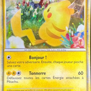 Pikachu (France)[-]PW [Others]