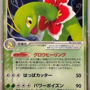 [NM-]Meganium ex [-]003/016 [[NM-]Others]