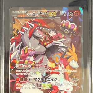 [CIC10 Appraised] Team Magma's Groudon EX [RR]015/034 [Others]