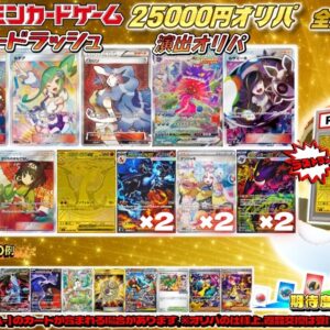 《No.742》☆ Performance Oripa ☆ 1 pack 25,000 yen Oripa (last one available) [No.742] ￥25,000 [ No.742/25,000 yen Oripa ]